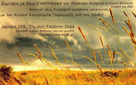 999543_10200794300873796_1197880988_n