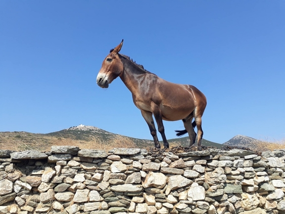 18/4 22:00 Οι Masterz of the Stringz LIVE