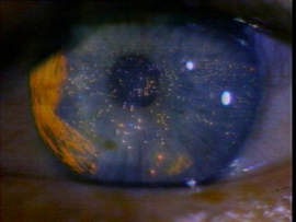 blade-runner-opening