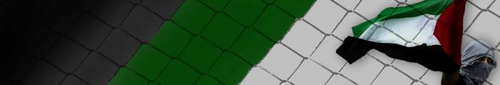 header_1_.jpg